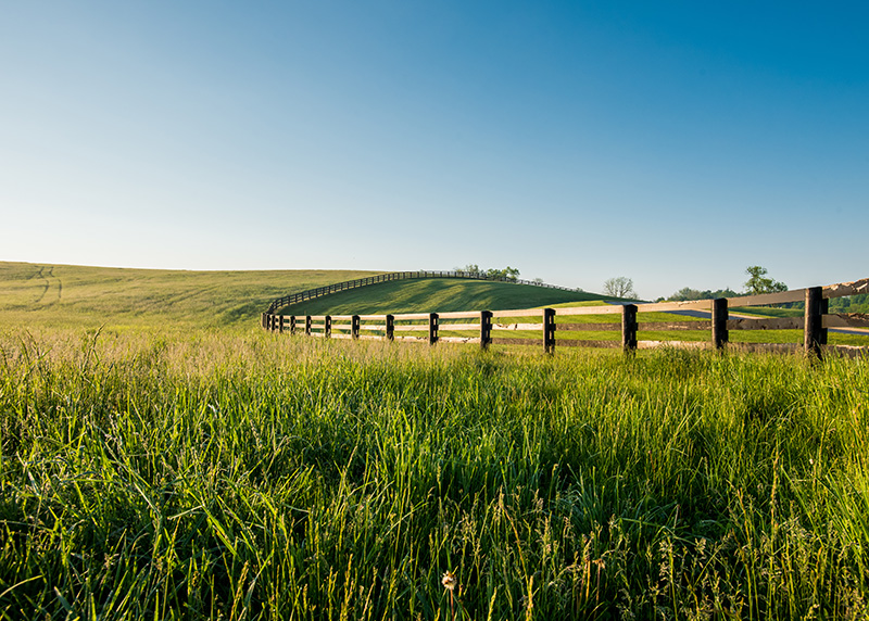 A field in Kentucky, the state where our drug rehab is located.